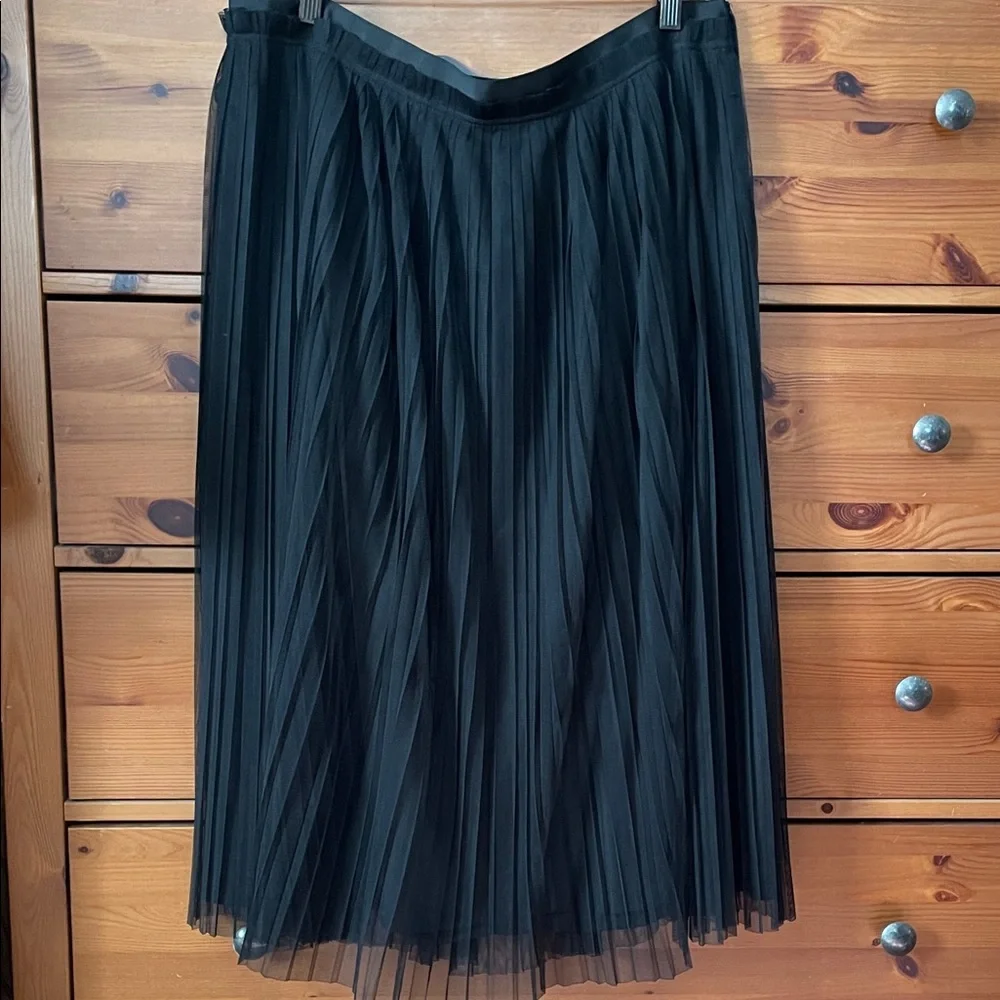 BANANA REPUBLIC Pleated Thule skirt
